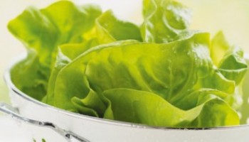 JE COMPOSE MA SALADE